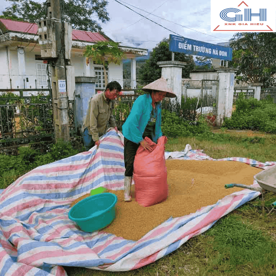 Bạt Phơi Nông Sản, Bạt Che Chuồng Trại: Lựa Chọn Nào Cho Hiệu Quả Cao? 4 Bạt Phơi Nông Sản, Bạt Che Chuồng Trại: Lựa Chọn Nào Cho Hiệu Quả Cao?