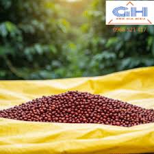 Bạt Phơi Nông Sản, Bạt Che Chuồng Trại: Lựa Chọn Nào Cho Hiệu Quả Cao?