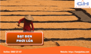 Bạt Đen Phơi Lúa Cho Mùa Vụ Bội Thu & Nâng Cao Chất Lượng Nông Sản