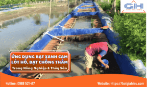 BAT GIA HIEU 997 x 596 px