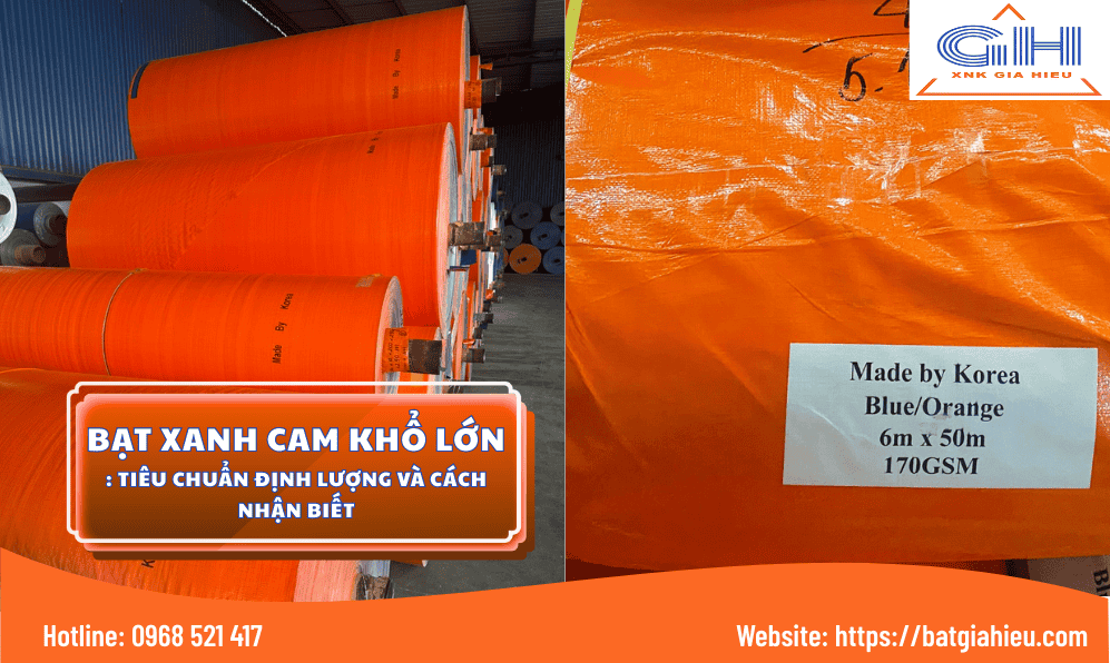 BAT GIA HIEU 997 x 596 px 1 3