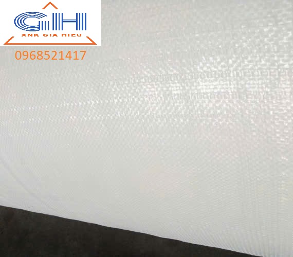 Bạt Trắng 11 Bạt Trắng - Ảnh 6