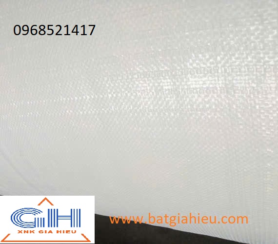 Bạt trắng hái cà phê